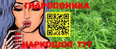 мяу мяу мука Аргун
