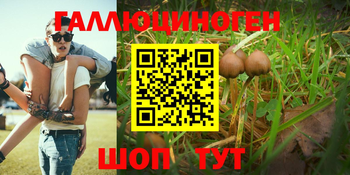 Амфетамин Великий Устюг