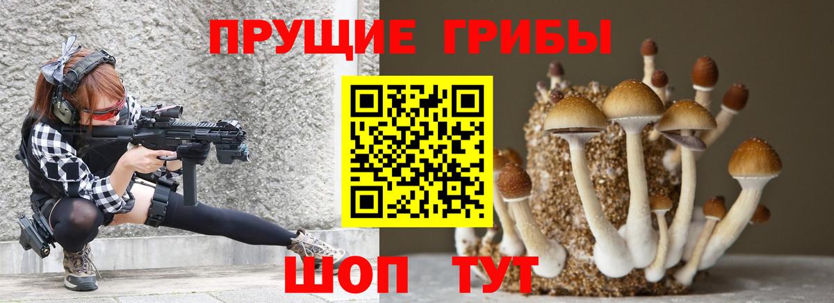 Псилоцибиновые грибы GOLDEN TEACHER  Вход с VPN  Великий Устюг 