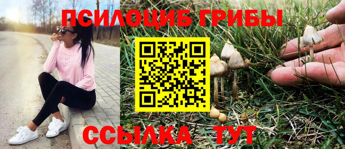 Галлюциногенные грибы мицелий Великий Устюг